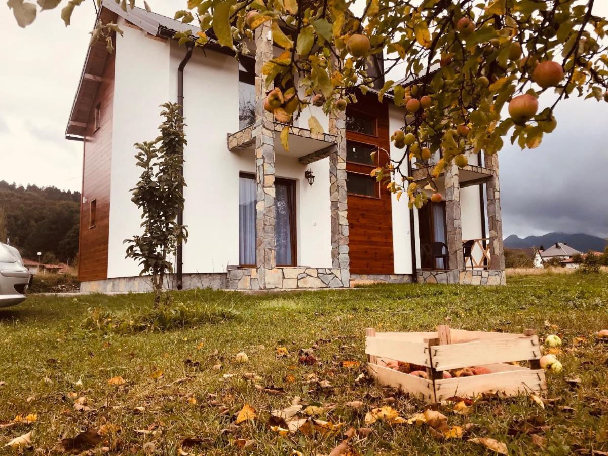 Ferienwohnung Vila Montenegrina Kolašin Exterior foto